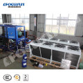 China manufacture 20 tons capacity plate ice plant